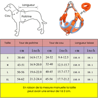 harnais petit chien Yorkshire guide des tailles