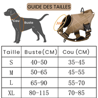 Harnais chien anti traction personnalisé guide des tailles