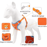 harnais petit chien Yorkshire descrption