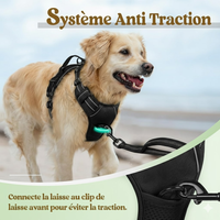 chien qui marche calmement avec harnais anti-traction WoufToy