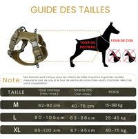 guide des tailles Harnais tactique chien
