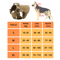 guide taille meilleur harnais anti traction