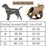 Harnais chien anti traction personnalisé guide des tailles
