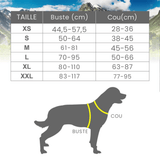 guide des tailles Harnais personnalisable 