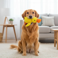 zenduck canard anti-stress wouftoy  et golden retriever