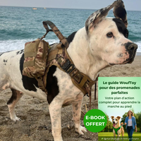 American bully xl Harnais militaire camouflage