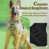 harnais personnalisé anti traction doux et respirant