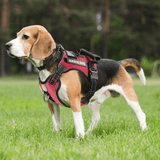 Harnais réfléchissant rouge beagle