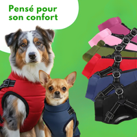 Manteau d’Hiver pour chien 3 en 1 WoufToy pensé pour son confort