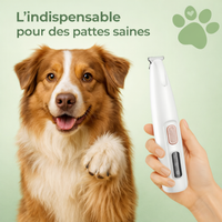 Tondeuse à patte pour chien wouftoy zenpattes
