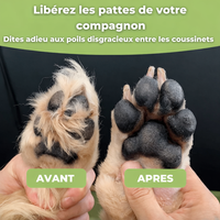 Tondeuse à patte pour chien wouftoy zenpattes avant après