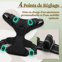 Harnais Anti-Traction Premium Wouftoy