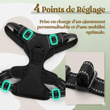 Harnais Anti-Traction Premium Wouftoy