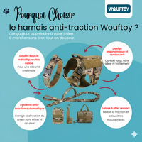 Pourquoi choisir le harnais anti-traction wouftoy