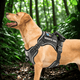 Harnais reflechissant chien anti traction