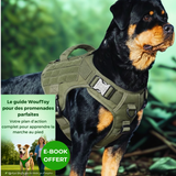 Harnais tactique militaire vert khaki ebook offert