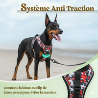 harnais personnalisé anti traction clip avant