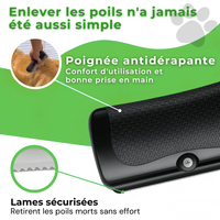 brosse sublime poils pour chien wouftoy antidérapante et sécurisée