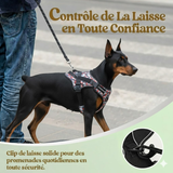 harnais personnalisé anti traction clip solide