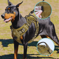 Harnais tactique chien doberman