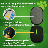 gant anti poils réutilisable et écologique enlève les poils sans effort