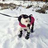 Bottes pour Chien Hiver Étanche Moyenne taille