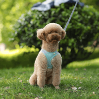 Harnais pour petit et moyen chien