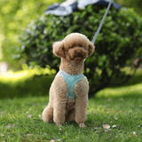 Harnais pour petit et moyen chien