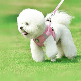 harnais petit chien bichon rose