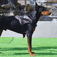 Harnais chien anti traction personnalisé staf