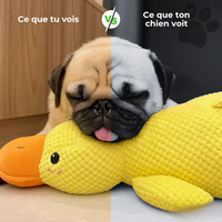 zenduck canard anti-stress wouftoy couleurs visibles par le chien
