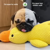 zenduck canard anti-stress wouftoy couleurs visibles par le chien