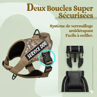 harnais personnalisé anti traction boucles sécurisées