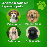 brosse sublime poils pour chien wouftoy polis courts longs ou bouclés