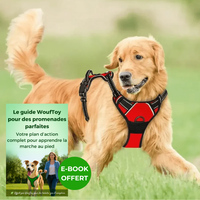 Harnais anti traction chien qui tire rouge ebook offert