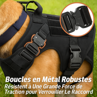 Harnais wouftoy boucles en métal robuste