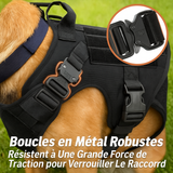 Harnais wouftoy boucles en métal robuste