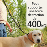 Laisse anti traction résiste à 400 kg avec labrador