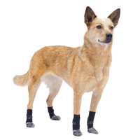 Chaussure pour chien