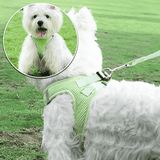 Harnais petit chien blanc