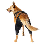 Jambière pour chien