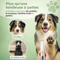 Tondeuse à patte pour chien wouftoy zenpattes oreilles museau et arrière-train