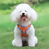 harnais petit chien orange