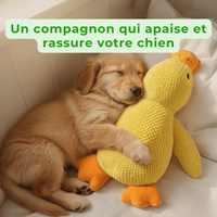 zenduck canard anti-stress wouftoy apaise et rassure votre chien