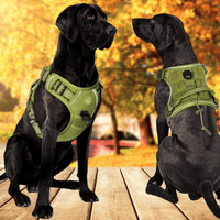 Harnais tactique pour grand chien