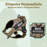 harnais personnalisé anti traction étiquette nom et numéro