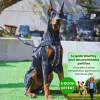 Harnais chien anti traction personnalisé eBook offert