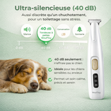 Tondeuse à patte pour chien wouftoy zenpattes ultra silencieuse