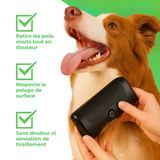 brosse sublime poils pour chien wouftoy bénéfices