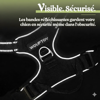 Harnais Anti-Traction Premium Wouftoy